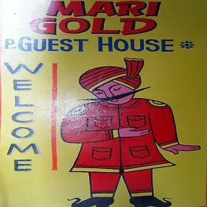 Marigold , バラナシ インド